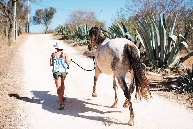 Horse Sanctuary: A nature walk with Rescued Horses by your side - Who this is best for (and who should think twice)