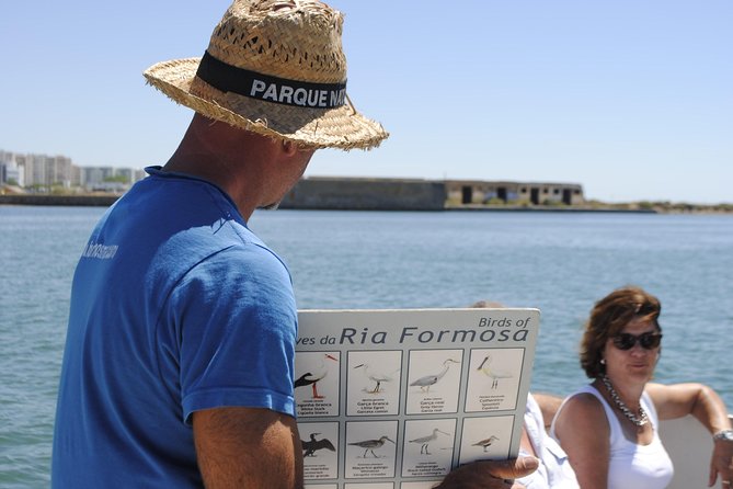 Ilha Deserta and Farol Island: a small group boat trip in Ria Formosa from Faro - The return cruise through Ria Formosa: why the timing feels special