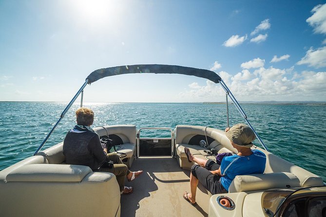 Ilha Deserta and Farol Island: a small group boat trip in Ria Formosa from Faro - Guides onboard: safety, humor, and serious bird talk