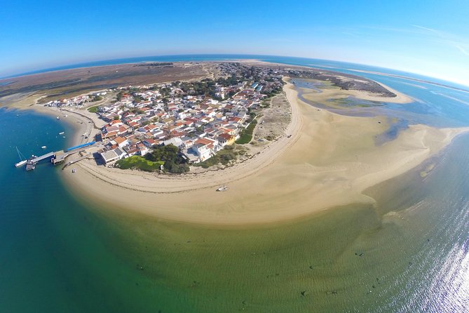 Islands Tour: Half Day Cruise in Ria Formosa Natural Park - From Olhão, Faro’s lagoon world in just 4 hours