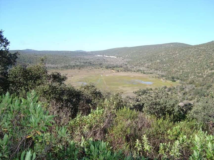 Jeep Safari & Benagil Boat Tour - Who This Tour Is Best For