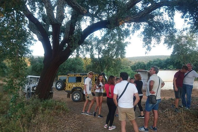 Jeep Safari Tour - Full Day - Stop 3 Sarnadas: cork country off-road up toward the high peaks