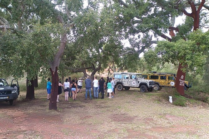 Jeep Safari Tour - Half Day - Sarnadas viewpoints: a short pause that makes the inland feel worth it