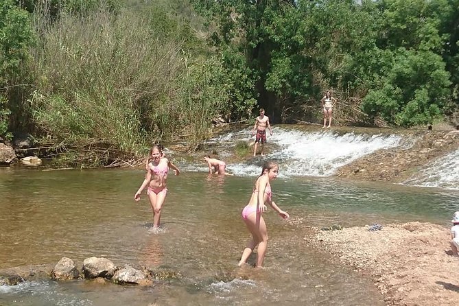 Jeep Safari Tour - Half Day - What the price covers, and what you should budget for