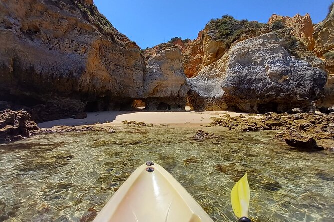 Kayak Adventure through the Ponta da Piedade Caves in Lagos - Swim, Drink, and Sun Time After the Caves