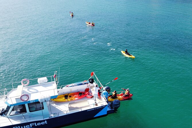 Kayak Experience in Ponta da Piedade - How hard is it, and what if you are not a strong swimmer?