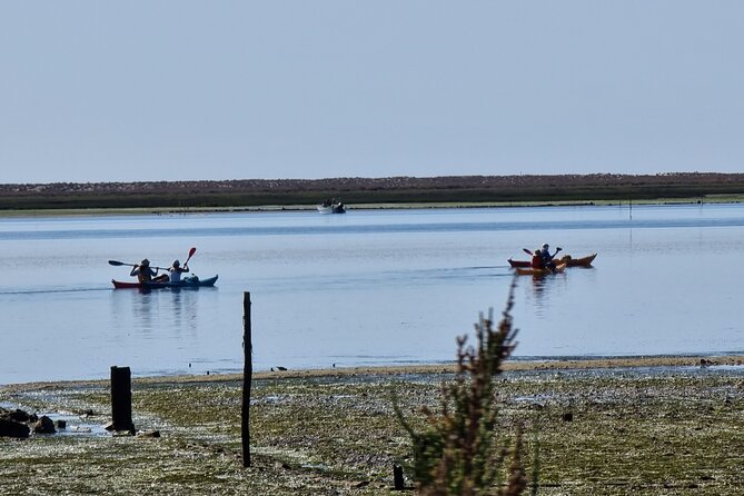 Kayak Rental in Praia dos Cavacos - Praia dos Cavacos to Armona, a nature break near Faro