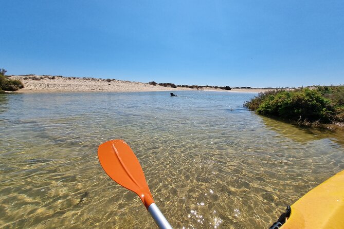 Kayak Rental in Praia dos Cavacos - Who should book this kayaking rental in Praia dos Cavacos