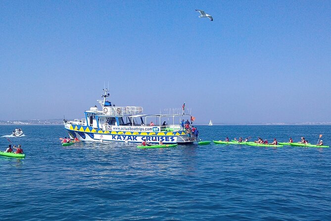 Kayak Tour - Key highlights worth clocking before you book