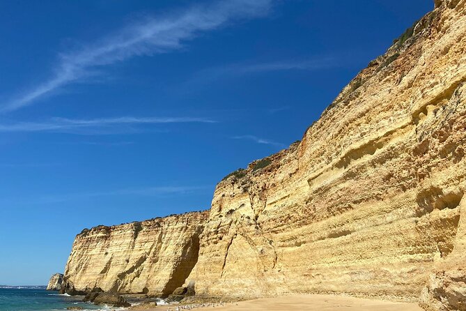 Kayak Tours with Amazing Caves, sea life and Marine Biologist . - Key Highlights You Will Feel on the Water