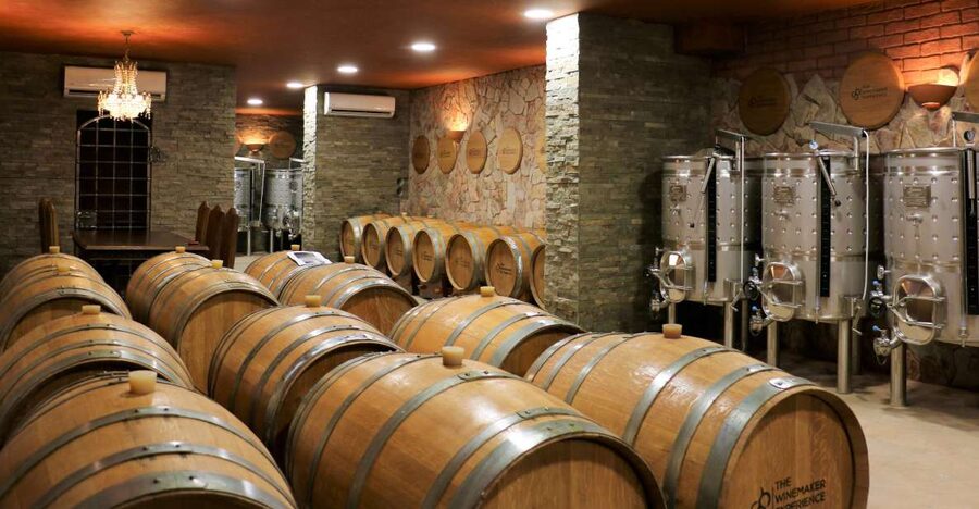Lagoa: Guided Winery Tour and Local Wine Tasting - The winery tour: what you actually learn on the walk