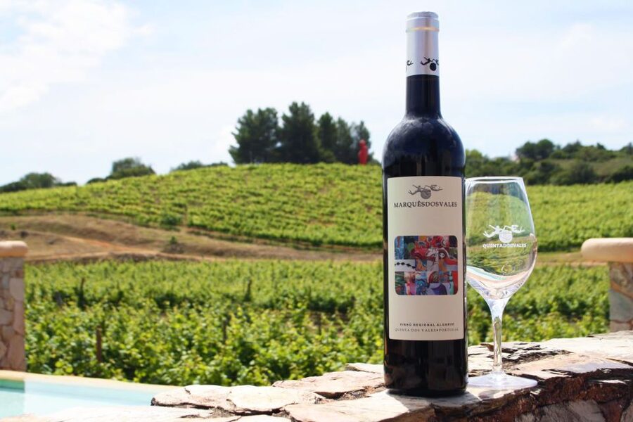 Lagoa: Guided Winery Tour and Local Wine Tasting - Price and value: is $42 worth 1.5 hours?
