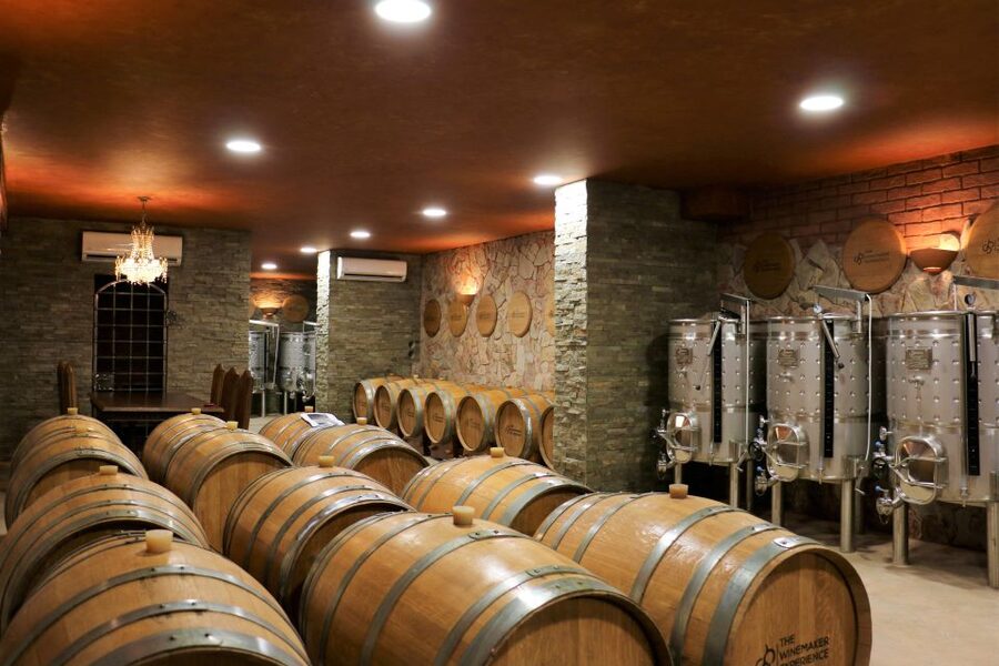 Lagoa: Guided Winery Tour and Local Wine Tasting - Who this tour suits best, and who might want something else