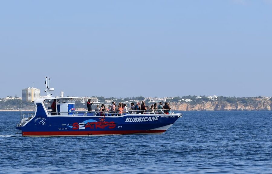 Lagos: Combo Dolphin and Benagil Tour with Marine Biologist - What to bring for a comfortable, successful outing