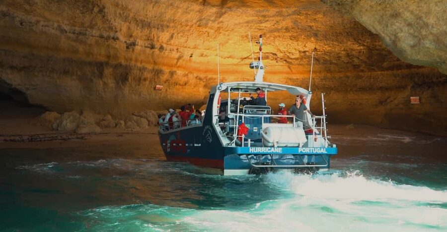 Lagos: Combo Dolphin and Benagil Tour with Marine Biologist - Marine biologists and dolphin watching: what the search actually looks like