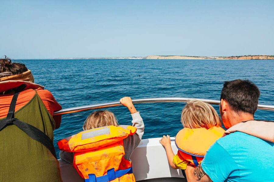 Lagos: Dolphin Watch Tour with Professional Marine Biologist - Key highlights I’d anchor your expectations on