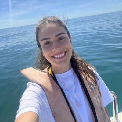 Dolphin Watch Tour with Professional Marine Biologist