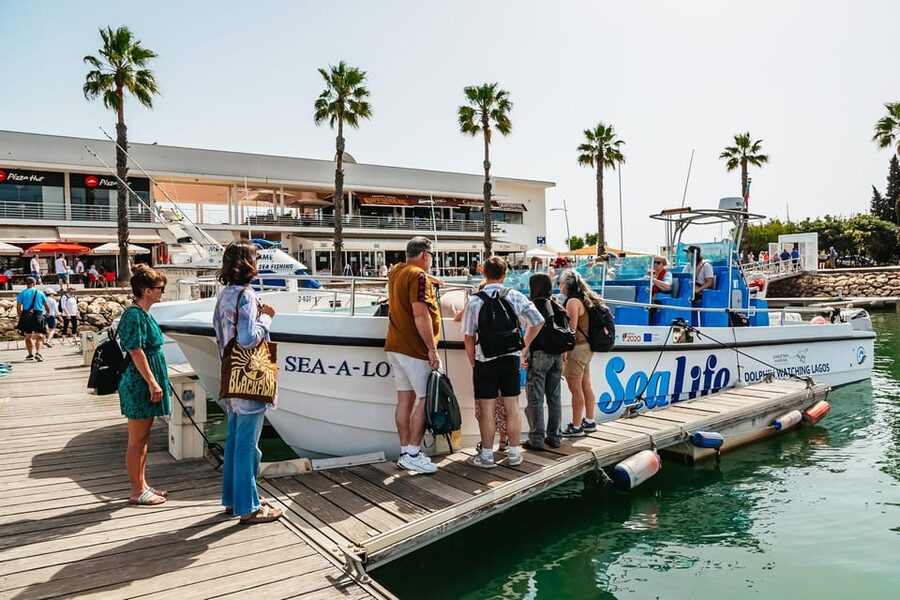 Lagos: Dolphin Watch Tour with Professional Marine Biologist - Who should go, and who should sit this one out