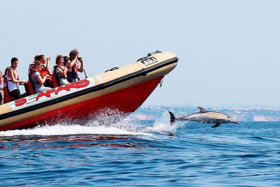 Lagos: Dolphin Watching with Professional Marine Biologists - Price and Value: Is $40 Worth a Short Tour?