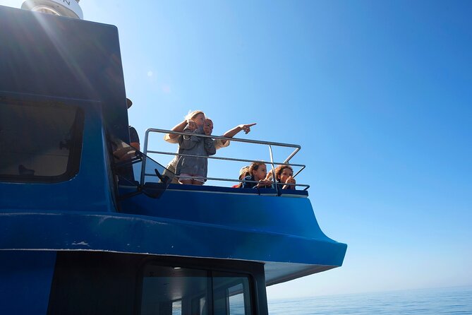 Lagos: Dolphins & Benagil Caves – Catamaran - Why this catamaran in Lagos feels better than the fast-boat style