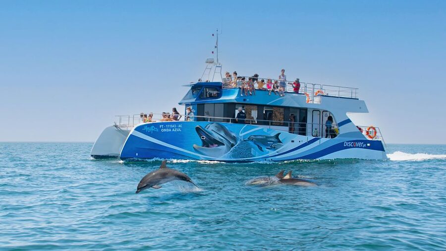Lagos: Dolphins & Caves - Catamaran - Key Things I’d Watch For