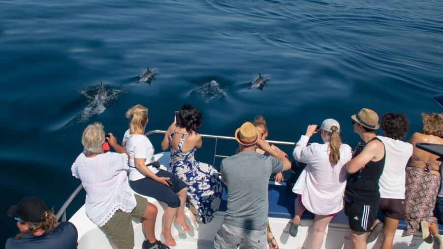 Lagos: Dolphins & Caves - Catamaran - Timing and Itinerary Rhythm: How the 2.5 Hours Really Flows