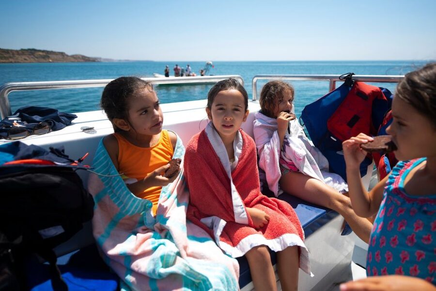 Lagos: Dolphins & Caves - Catamaran - Who Should Book This Tour (and Who Might Want a Different Option)