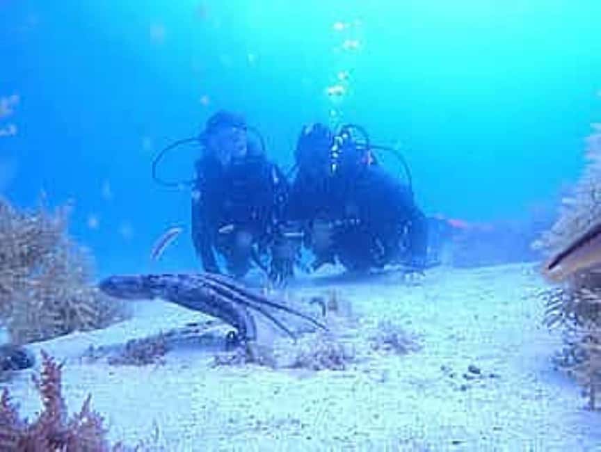 Lagos: First Scuba Dive in the Ocean with Instructor - Group Size and Instructor Languages: More Comfort, Less Waiting
