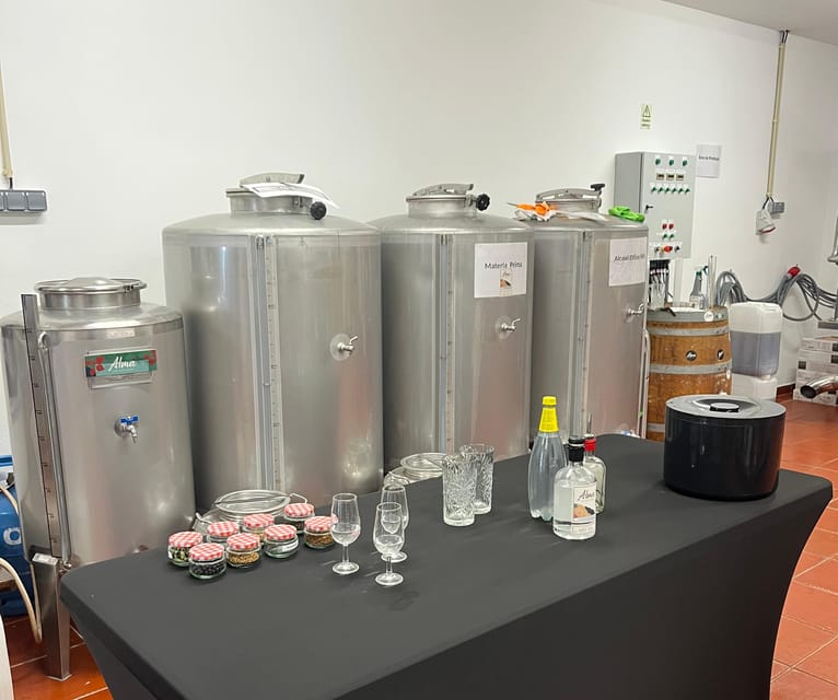 Lagos: Guided Gin Distillery Tour With Tasting at Alma Luz - The Botanicals Lesson: Ingredients and the Algarve Angle