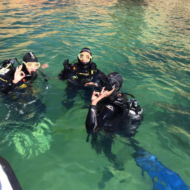Lagos: Guided Scuba Diving Trip for Beginners - What You Might See: Caves, Bays, and Real Sea Life