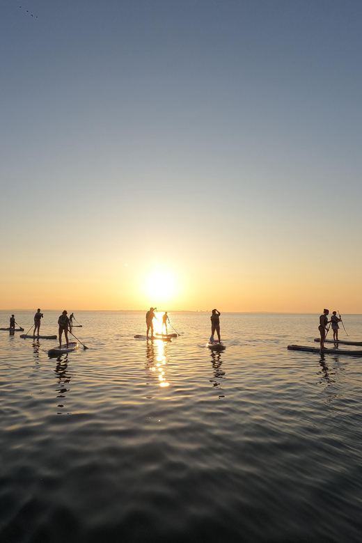 Lagos: Guided SUP Tour to Ponta da Piedade Caves - Safety That Actually Helps: Leash, Life Jacket, and the 50m Swim Rule
