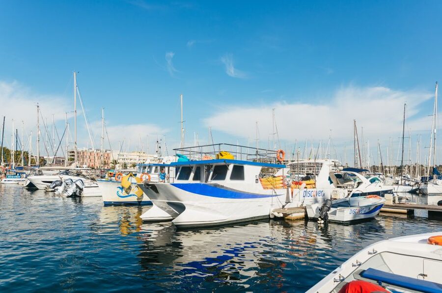 Lagos: Kayak Experience - Kayaking through sea caves and rock arches: the main event