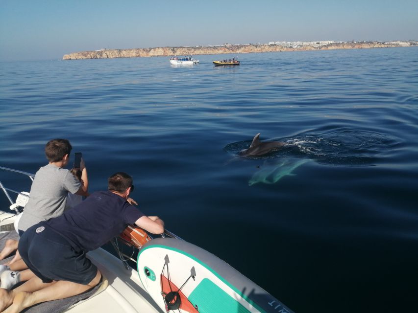 Lagos: Luxury Yacht Charter with Drinks & Tapas - Lagos to the open water: why this cruise fits the Algarve