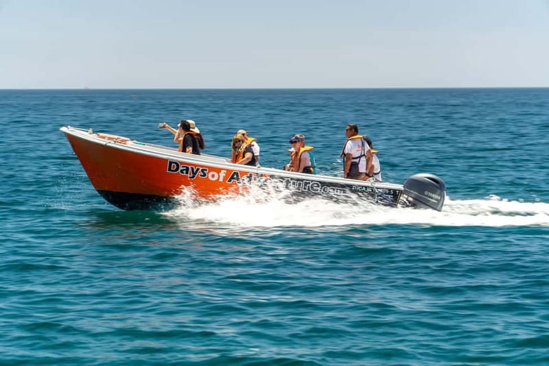 Lagos: Ponta da Piedade Caves Boat Tour - Best time to go, and what to pack for wind, spray, and tight spaces