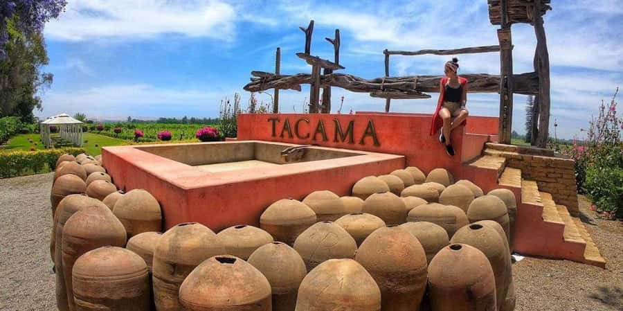 Lagos/Praia da Luz: Wine Tour, Tastings, Tapas, and Music - Shop Time for Algarve Wines and Regional Products