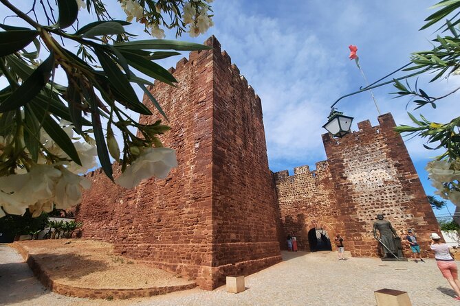 Lost Heritage of Silves & Monchique Shared Experience - Monchique Stop: Cork Forest, Foía Viewpoint, and a Distillery Tasting