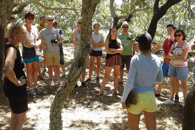 Lost Heritage of Silves & Monchique Shared Experience - Pickup, Timing, Group Size, and How Not to Miss the Day