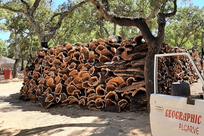 Lost Heritage of Silves & Monchique Shared Experience - Who This Tour Suits Best