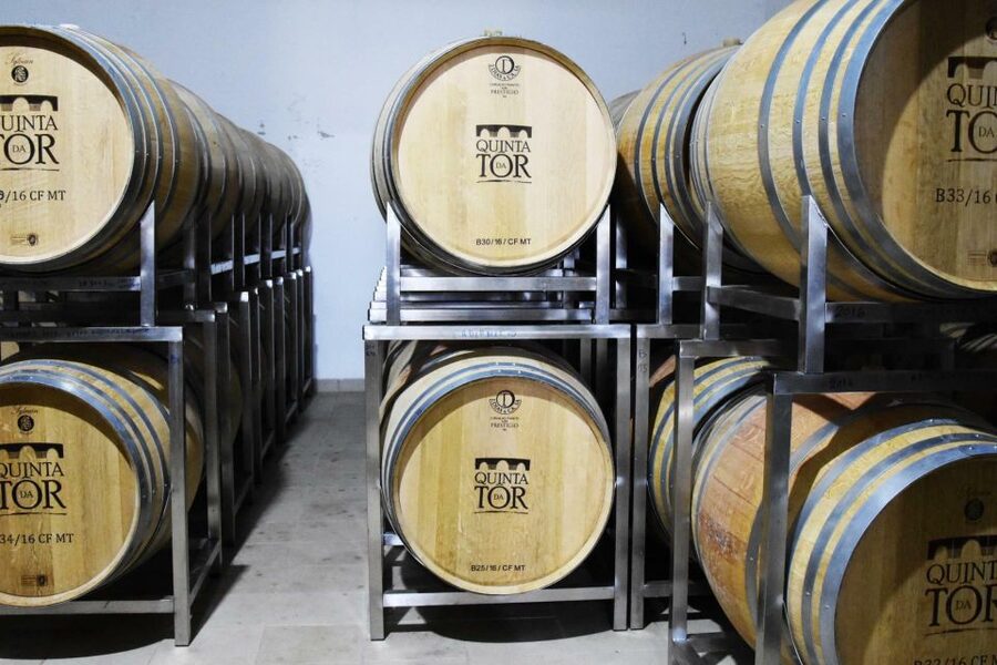Loulé: Quinta da Tôr Winery Guided Tour and Wine Tasting - Who should book this Quinta da Tôr wine tour