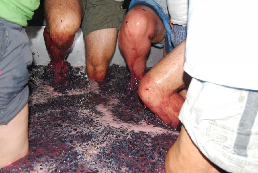 Loulé: Quinta da Tôr Winery Guided Tour and Wine Tasting - Why Quinta da Tôr feels like a smart Algarve break