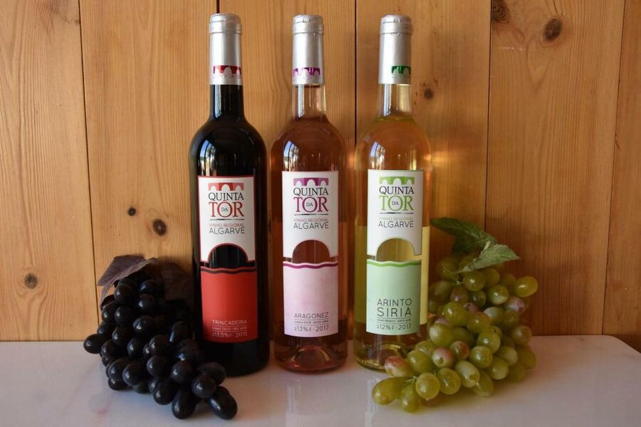 Loulé: Quinta da Tôr Winery Guided Tour and Wine Tasting - The guided tour: from vines to the cellar in about 30 minutes