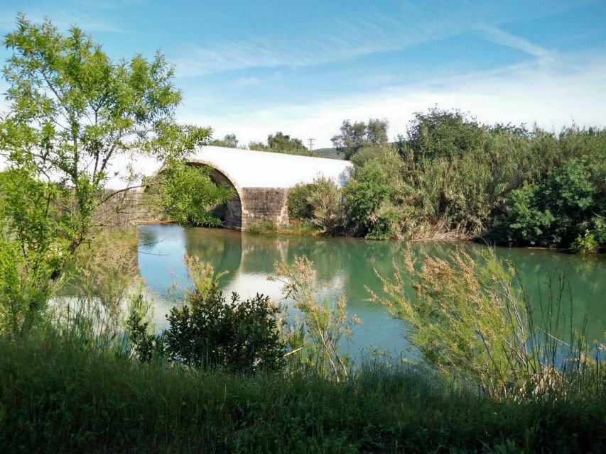 Loulé: Quinta da Tôr Winery Guided Tour and Wine Tasting - Wine tasting time: 4 pours, plus bread and homemade olive oil