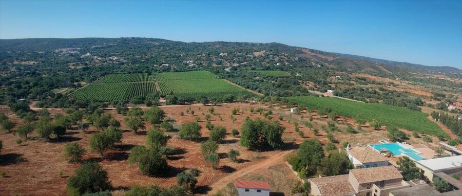 Loulé: Quinta da Tôr Winery Guided Tour and Wine Tasting - Choosing intermediate vs premium, and the tasting styles that fit you