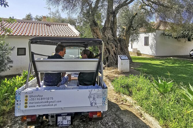 Meet Santa Luzia / Capital do Polvo / Salinas in a 100% electric Tuk Tuk - Stop 1 at Praça da República and Rua da Liberdade