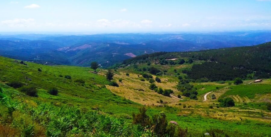 Monchique and Fóia: Half Day Tour - Fóia summit, 902 meters, and that 360º view