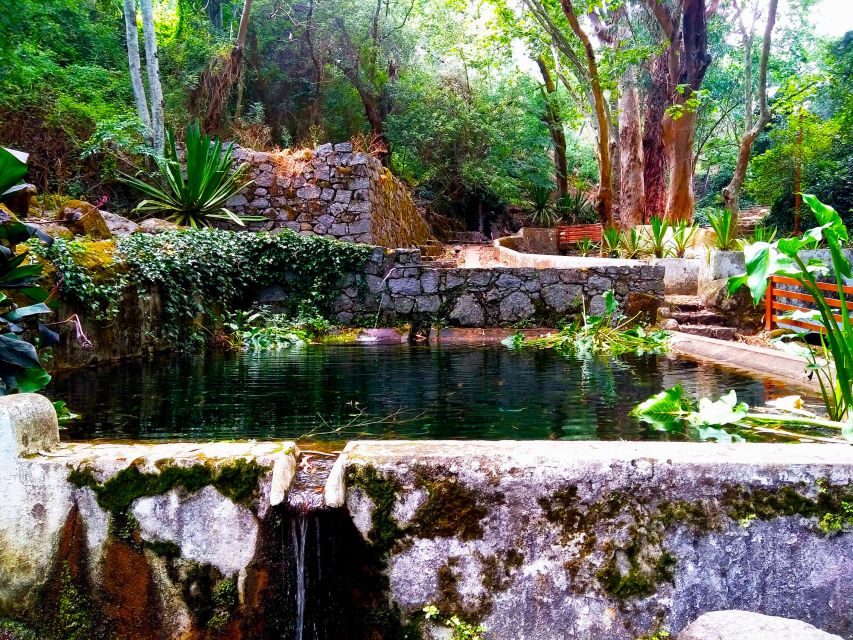Monchique and Fóia: Half Day Tour - How the guide experience shapes what you get out of it