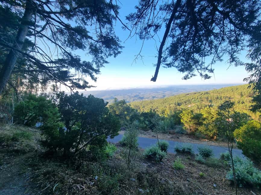 Monchique Jeep Tour with a Picnic & Hidden Viewpoints - Key highlights worth showing up for