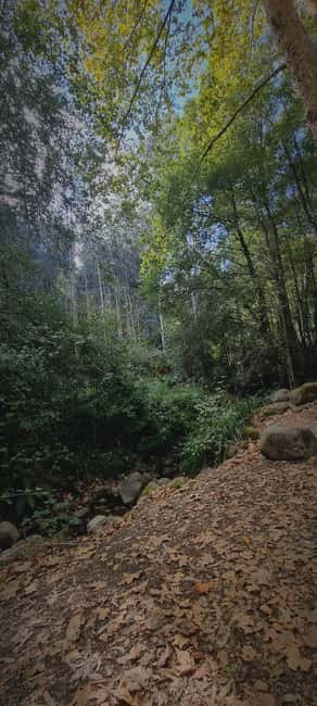 Monchique Jeep Tour with a Picnic & Hidden Viewpoints - Serra de Monchique from a 4WD Jeep: the vibe of this half-day