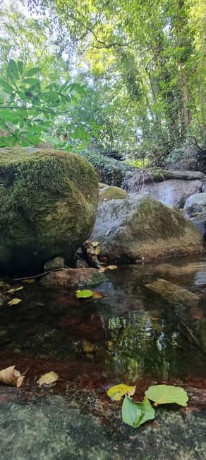 Monchique Jeep Tour with a Picnic & Hidden Viewpoints - The secret stop picnic: regional products, panoramic calm, and about 1 hour to linger
