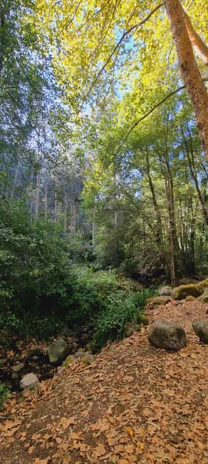 Monchique Jeep Tour with a Picnic & Hidden Viewpoints - Included extras that make the tour feel like good value